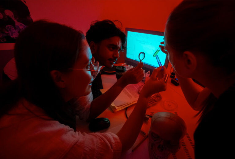 Zodiac Killer Fox in a Box